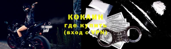 трава Наволоки