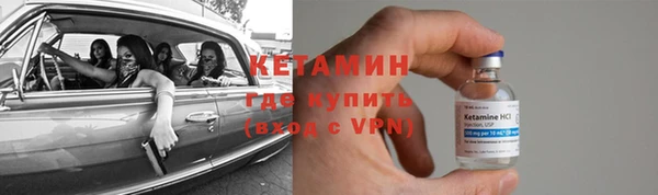 трава Наволоки