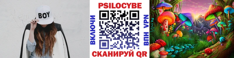 Псилоцибиновые грибы MAGIC MUSHROOMS  даркнет сайт  Игарка 